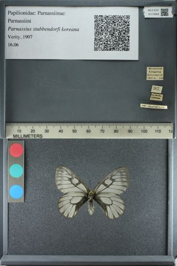 Media type: image;   Entomology 179959